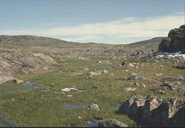 Island in Hudson Bay