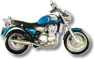 My Triumph Thunderbird