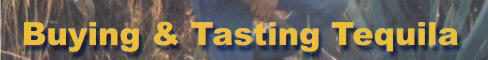 home page graphic