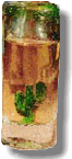 Caballito with cactus