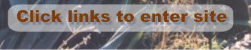home page graphic