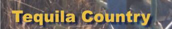 home page graphic
