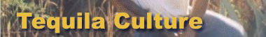 home page graphic