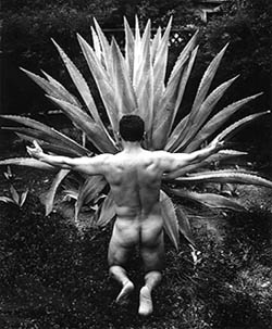 Maguey worship