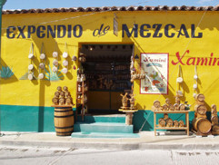 Mezcal vendor in Oaxaca