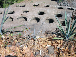 Antique fermentation vats cut into rock