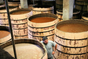 Smaller fermentation barrels at La Alte�a
