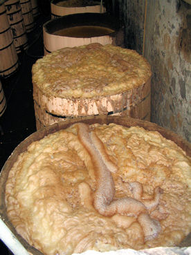 Fermentation in progress at La Alte�a