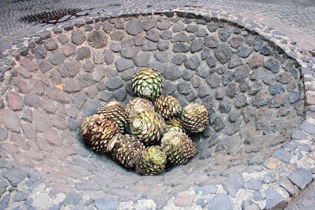 Original ground pit at Tequila Museum