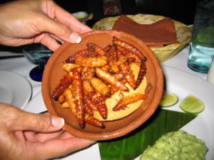 Gusanos served as food in Mexico