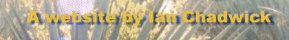 home page graphic