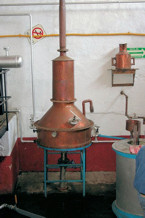 Copper still at Los Abuelos