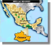 Mezcal regions