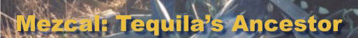 home page graphic