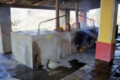 Mezcal still