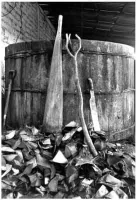 Agave and mezcal fermentation