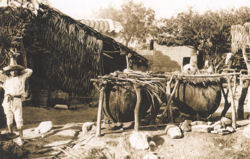 Old mezcal distillery