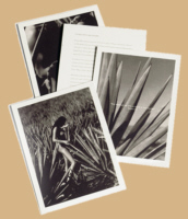 Original Sin: photographs for Sauza's Tres Generacionnes