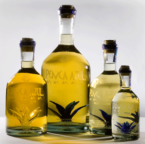 Penca Azul tequilas