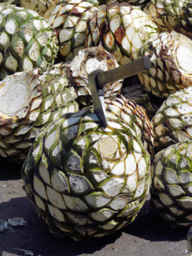 Pi�as, also called cabezas