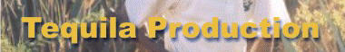 home page graphic
