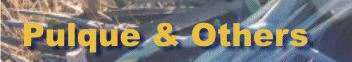 home page graphic