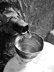 Raw mezcal from the still