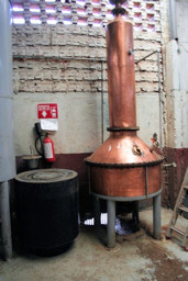 Pot or alembic still