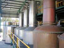 amalbique stills at Asombroso