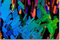 tequila as seen through the electon microscope