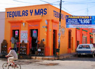 Tequilas y mas