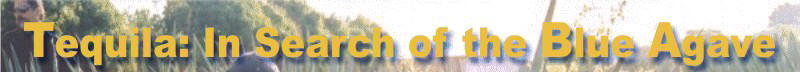 home page graphic