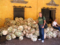 The author and agaves at Mundo Cuervo
