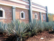 Tequilas Finos