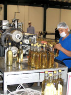 Bottling operation at Tequilas Finos