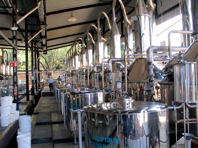 Stills at Herradura