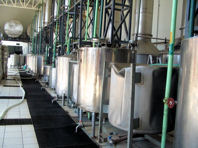 Stills at Espolon