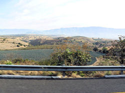 Fields of agave go whizzing by on the highway