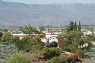 Tequila from nearby hilltop