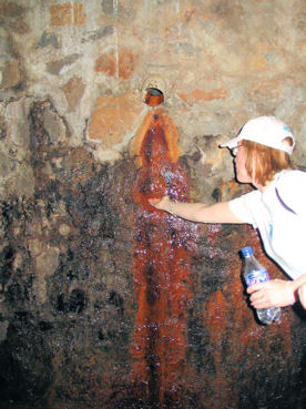 Natural spring water seeping into bodega at La Alte�a