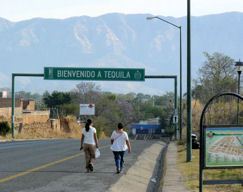 Welcome to Tequila