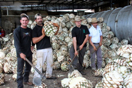 Workers at El Agave distillery
