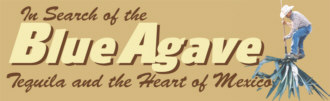 site logo