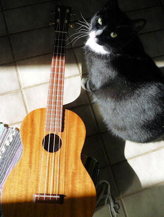 Beansprout baritone