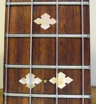 Beansprout fretboard with stickers