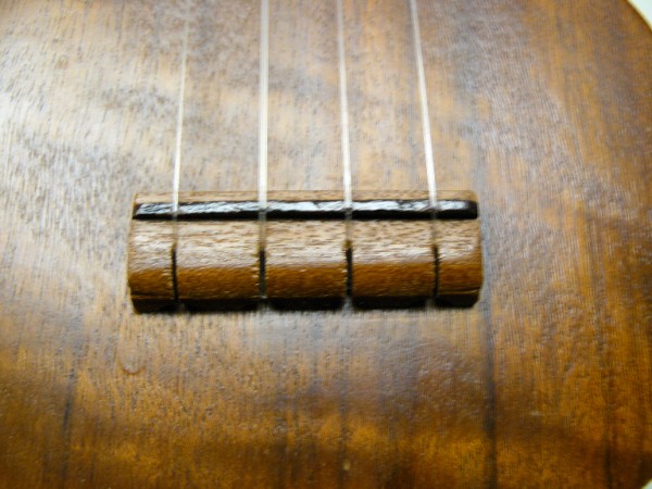 Diastone bridge and saddle