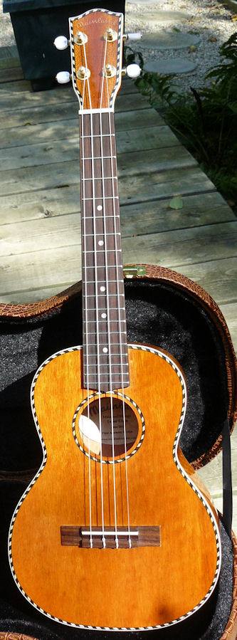 Mainland mango tenor