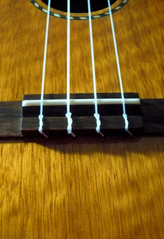Mainland mango tenor, grain