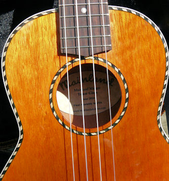 Mainland mango tenor body
