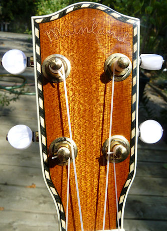 Mainland mango tenor headstock